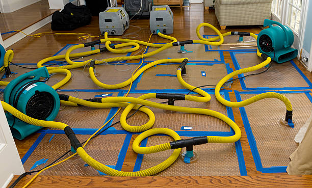 Professional Flood Damage Restoration technician working in Point Roberts, WA